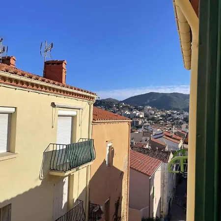 Apartment 3 Pieces, 4 Couchages A 100m De La Plage, Balcon, Tv, Lave-linge, Centre-ville De - Fr-1-225c-115 Banyuls-sur-Mer